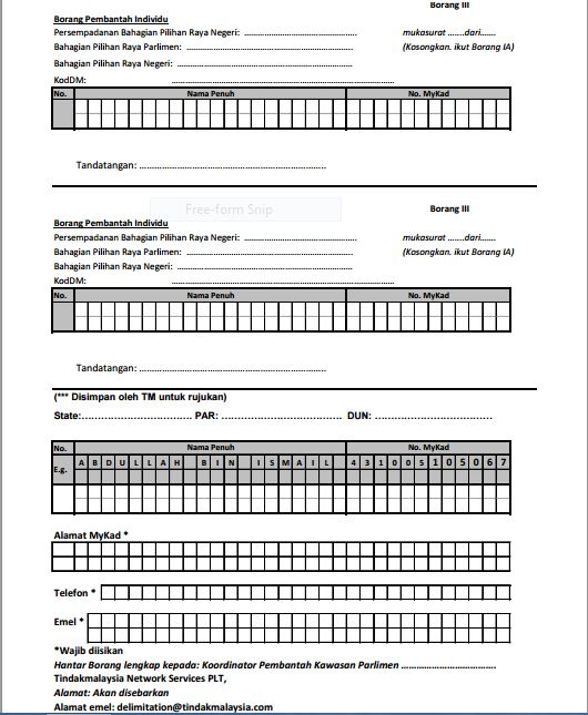 Sample Borang III report